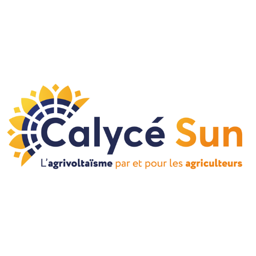 Calycé Sun