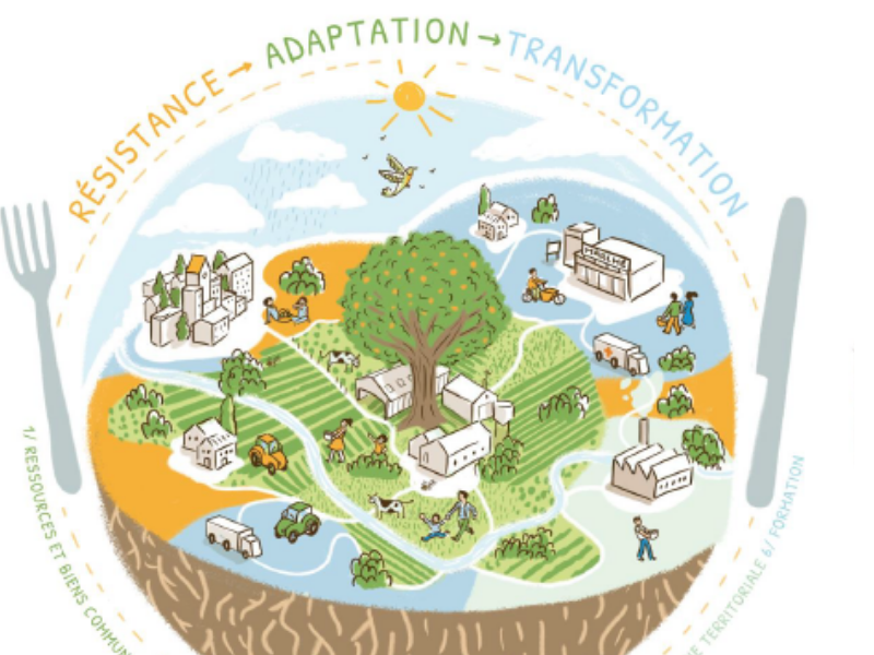 Elections municipales 2026 : CNRA appelle à faire de la résilience alimentaire un pilier des politiques locales