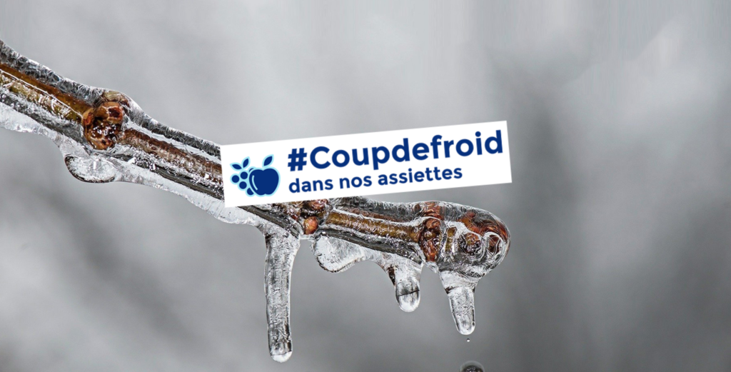 coup de froid dans nos assiettes